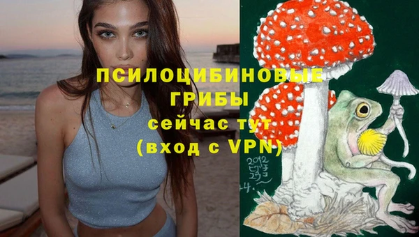 дурь Приозерск