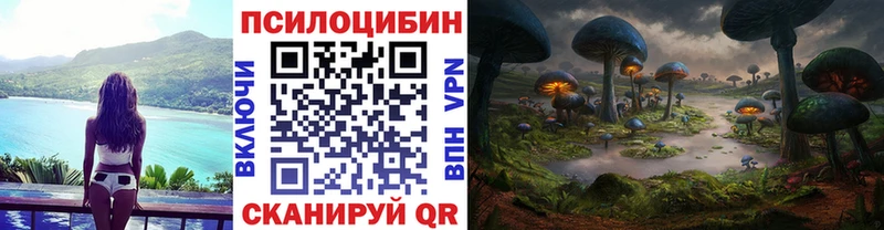 Галлюциногенные грибы MAGIC MUSHROOMS Кохма