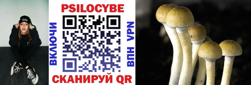 ссылка на мегу зеркало  Кохма  Псилоцибиновые грибы GOLDEN TEACHER 