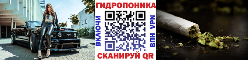 купить закладку  Кохма  Конопля индика 